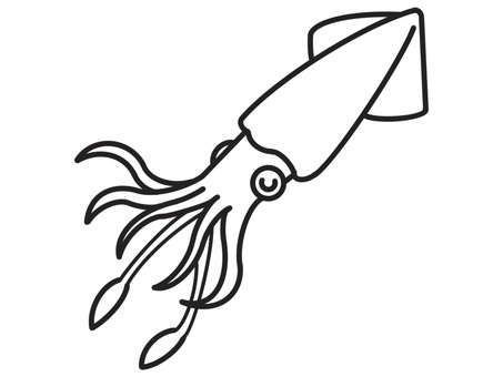 シンプルで可愛いイカの線画イラスト イカ,魚介類,海産物,食材,動物,和食,シーフード,料理,食べ物,線画のイラスト素材