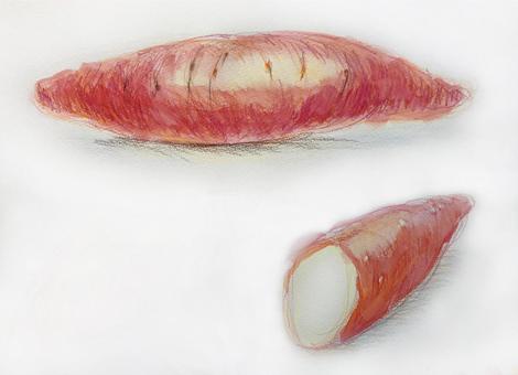 サツマイモ, JPG サツマイモ, 紅薯, 食品, 烤地瓜, JPG