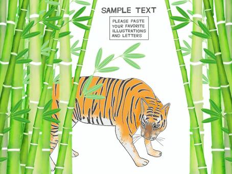 Tiger in a bamboo grove Tiger in a bamboo grove