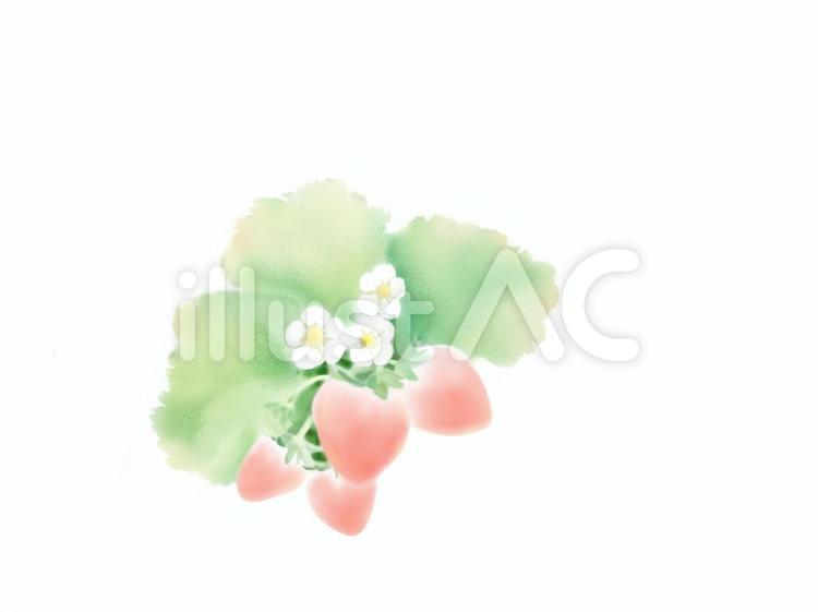 お花と苺2（薄赤） いちご,果物,アイコンのイラスト素材