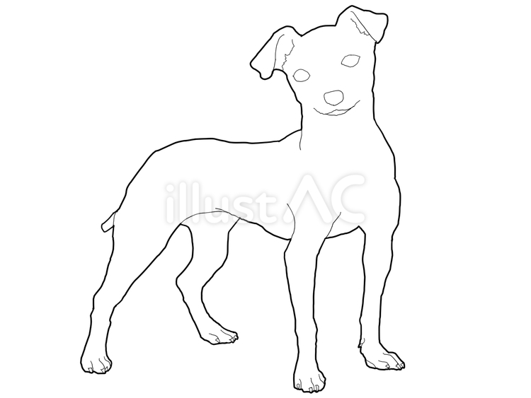 日本テリア　線画 日本テリア,犬,日本のイラスト素材