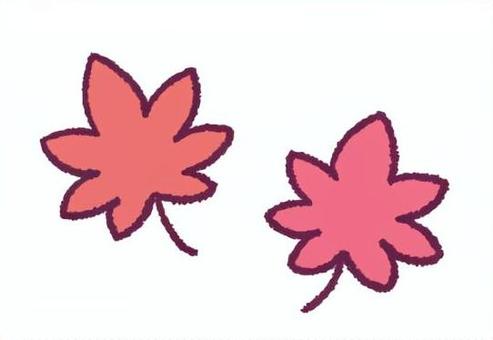 もみじの手描きイラスト