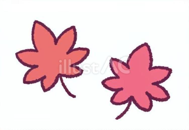 もみじの手描きイラスト もみじ,紅葉,葉のイラスト素材