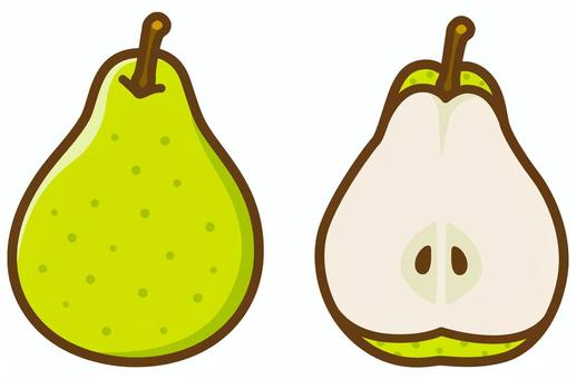 洋梨2種類 洋梨2種類 洋梨,果物,フルーツ,食材,食べ物,秋,秋の味覚,実りの秋,カットフルーツ,断面のイラスト素材
