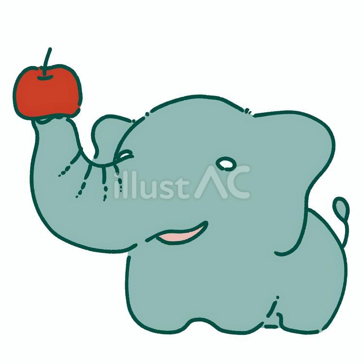 鼻でりんごを持つゾウ ゾウ,動物,生き物のイラスト素材