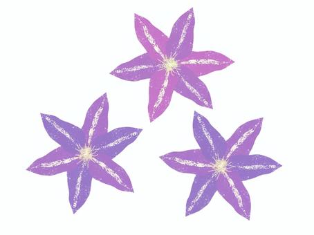 Illustration, clematis, simple, purple, 