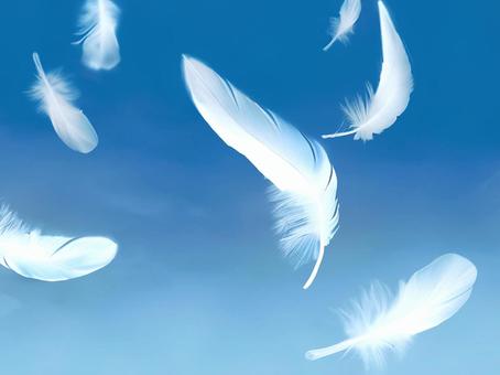 Free background material/Feathers dancing in the blue sky, , JPG and PNG