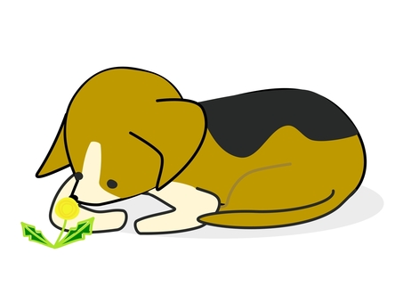 illustration of dog and dandelion, , JPG, PNG and EPS