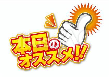 本日のオススメ