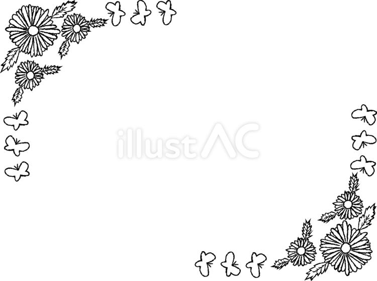 マーガレットの線画 花,マーガレット,線画のイラスト素材