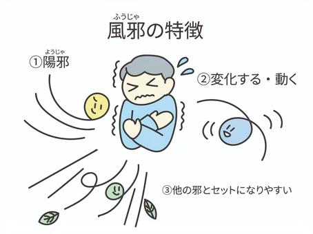 風邪の特徴 風邪,男性,人物,東洋医学,陽邪のイラスト素材