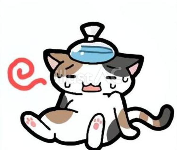 三毛猫と暑さ 三毛猫,猫,暑さのイラスト素材