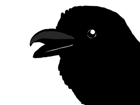 カラスの顔1 鳥,野鳥,カラス,顔,クール,黒,シンプル,オリジナル,イラスト,挿し絵のイラスト素材