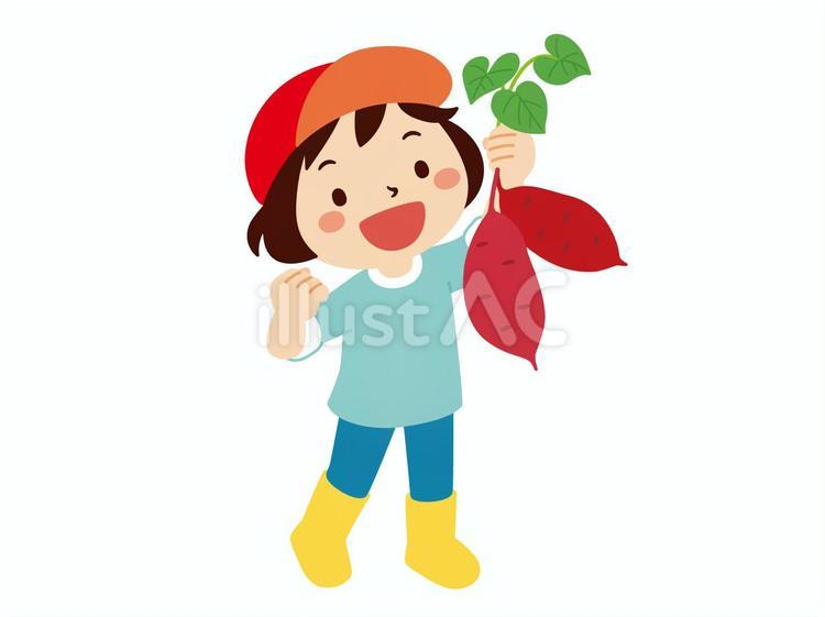 さつまいも掘り-2 さつまいも掘り,お芋掘り,サツマイモのイラスト素材