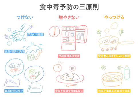 食中毒予防の三原則＿カラー線画 食中毒,予防,原則,菌,ウイルス,手洗い,洗浄,冷蔵庫,温度,時間のイラスト素材