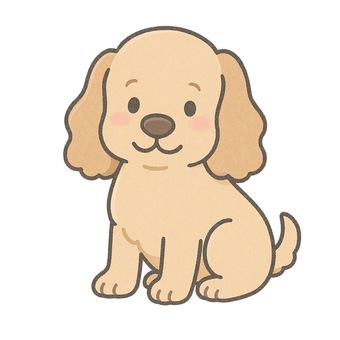 アメリカンコッカースパニエルのイラスト