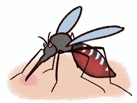 血を吸った後の蚊のイラスト（感染症対策） 蚊,吸血,虫刺され,夏,害虫,感染症,衛生,デング熱,ウイルス,防虫のイラスト素材