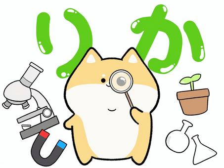 ゆるかわ柴犬の理科