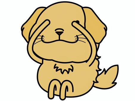 ゴールデンさん チラ見 チラ見,覗き見,ゴールデンレトリバー,恐る恐る,キャラクター,犬,動物,哺乳類,ベクター,イラストのイラスト素材