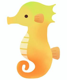 Illustration, seahorse, tiny, sea, 