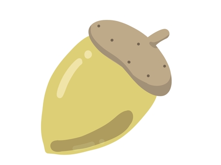 acorn yellow, acorn, autumn, real, JPG and PNG