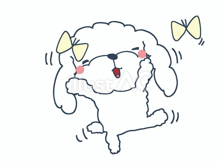 蝶々と戯れるマルチーズ マルチーズ,蝶々,戯れのイラスト素材