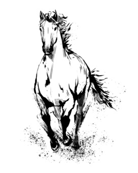 走る馬_筆_2 走る馬_筆_2 馬,筆,年賀状,走る馬,走る,筆絵,手描き,動物,干支のイラスト素材