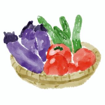 Summer vegetable, , JPG and PNG