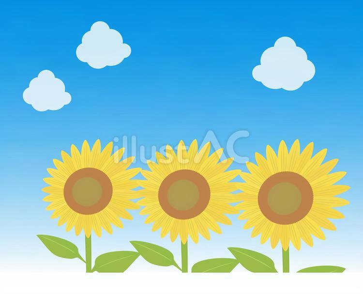 ひまわりの景色 ひまわり,景色,花のイラスト素材