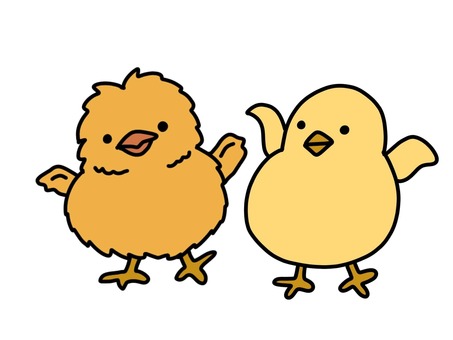 Illustration, a chick, young, yellow, 