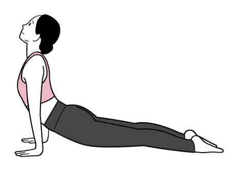 ヨガポーズ_上向きの犬のポーズ_01 手書き,線画,女性,ヨガ,ヨガポーズ,上向きの犬,ストレッチ,エクササイズ,フィットネス,体幹のイラスト素材