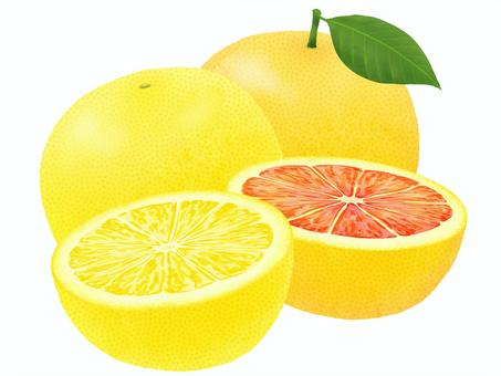 グレープフルーツとピンクグレープフルーツ