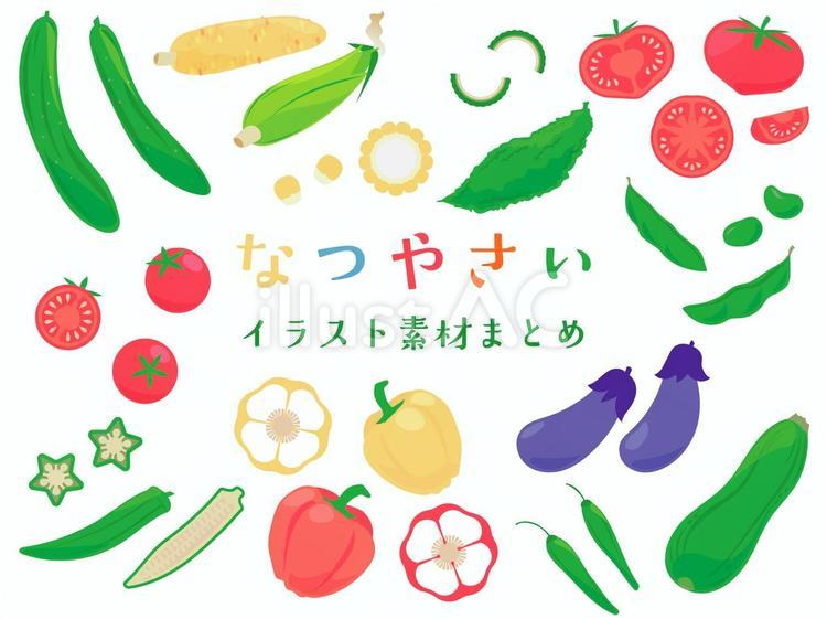 夏野菜　イラスト素材まとめ 野菜,夏野菜,夏のイラスト素材