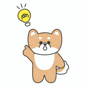 ひらめいたかわいい柴犬のキャラクター 柴犬,犬,豆柴,電球,ひらめき,ポイント,指差し,わかる,思いつく,全身のイラスト素材