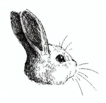 手描きの可愛いウサギ　線画 手描き,レトロ,ウサギ,可愛い,線画,動物のイラスト素材