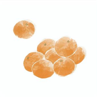 Illustration of mandarin oranges, , JPG and PNG