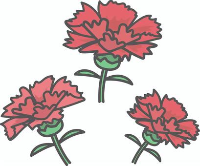 Carnation, carnation, mother's day, flower, JPG, PNG and AI