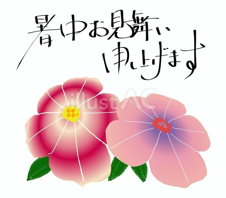 筆文字　暑中見舞いと花のイラスト 暑中見舞い,夏,文字のイラスト素材