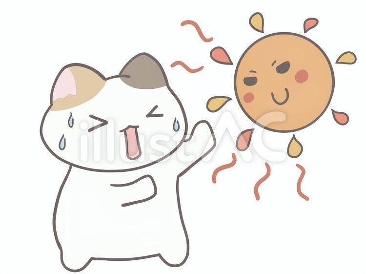 太陽を拒否する三毛猫 太陽,酷暑,夏のイラスト素材