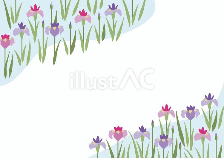 2色の花菖蒲と水辺のフレーム 花菖蒲,梅雨,フレームのイラスト素材