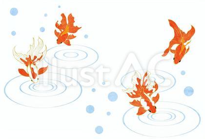 SummerCard24102