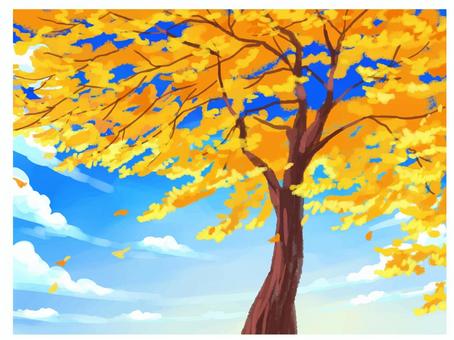 秋の黄色い落ち葉と青空 秋,落ち葉,紅葉,樹木,黄色,青空,晴天,雲,空,9月のイラスト素材