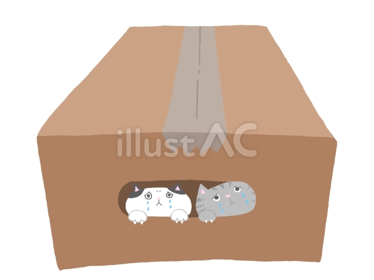 小さな命② 捨て猫,野良猫,保護猫のイラスト素材