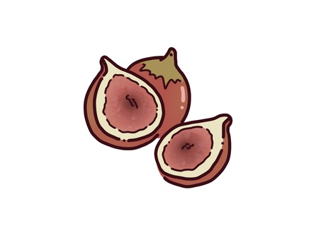 秋の果物　イチジク　カラー 秋,果物,イチジクのイラスト素材