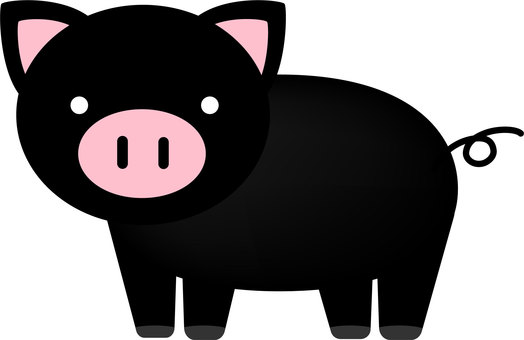 Illustration, black pig, a pig, animal, 