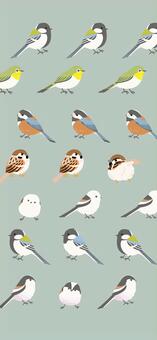 かわいい小鳥たちの背景 縦型 小鳥,鳥,野鳥,シジュウカラ,スズメ,エナガ,ヤマガラ,メジロ,シマエナガ,ヒガラのイラスト素材