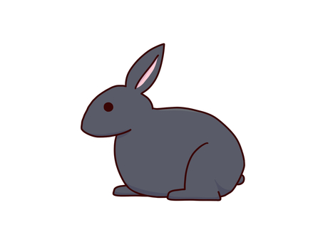 Illustration, mini rabbit, natural, breeding, 