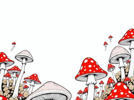 キノコの壁紙〜赤〜 きのこ,キノコ,茸,植物,伸びる,生える,群生,たくさん,複数,自然のイラスト素材
