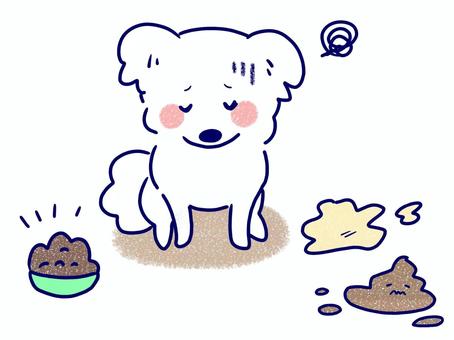 嘔吐、下痢、食欲不振の白色の犬 犬,白色,サモエド,動物,体調不良,嘔吐,下痢,食欲不振,病気,夏バテのイラスト素材