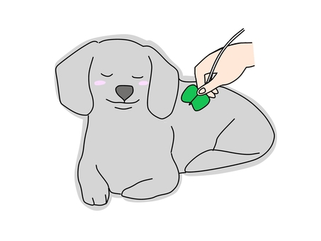 皮下点滴をするダックスフンド 皮下点滴をするダックスフンド 犬,ダックスフンド,点滴,動物病院,獣医のイラスト素材